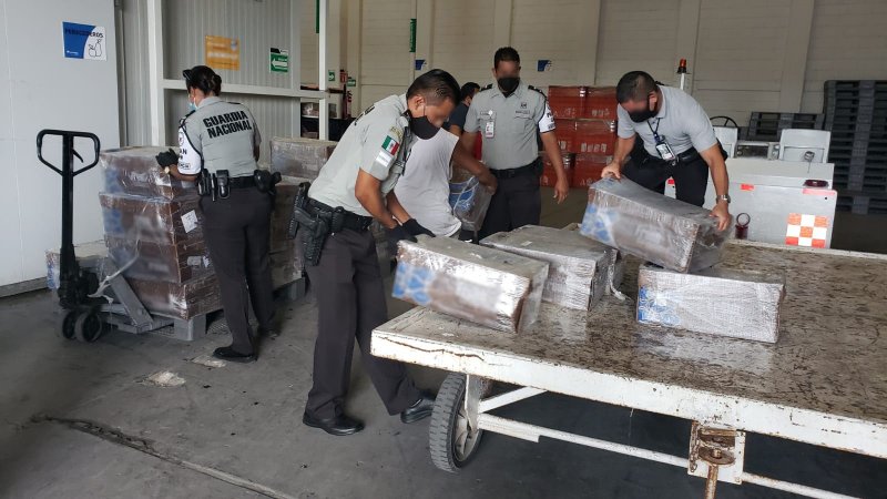 33 CAJAS DE PULPO CONGELADO CON LA DOCUMENTACIÓN ALTERADA FUERON INTERCEPTADAS EN EL AEROPUERTO DE MÉRIDA