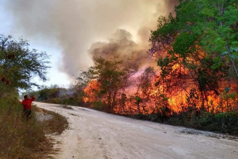 Alertan por incendios forestales en la Riviera Maya