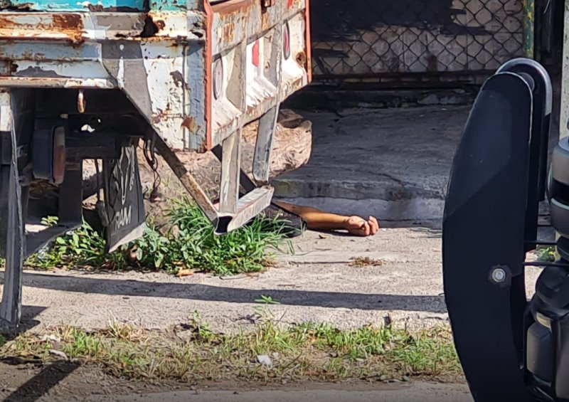 ASESINATO EN LA SM 220: Hallan cuerpo de un hombre con la cabeza aplastada por un tronco, en Cancún