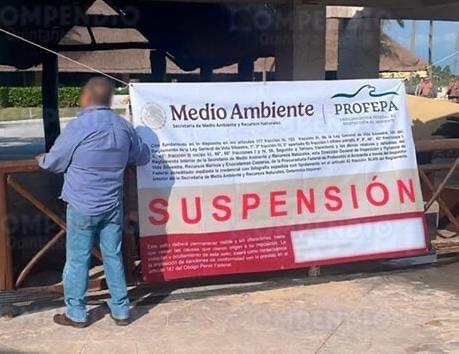 Aun mes del deceso de un delfín, PROFEPA clausura delfinario de Hotel