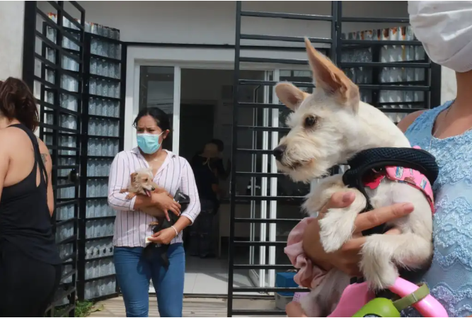 Autoridades municipales invitan a la jornada de desparasitación canina