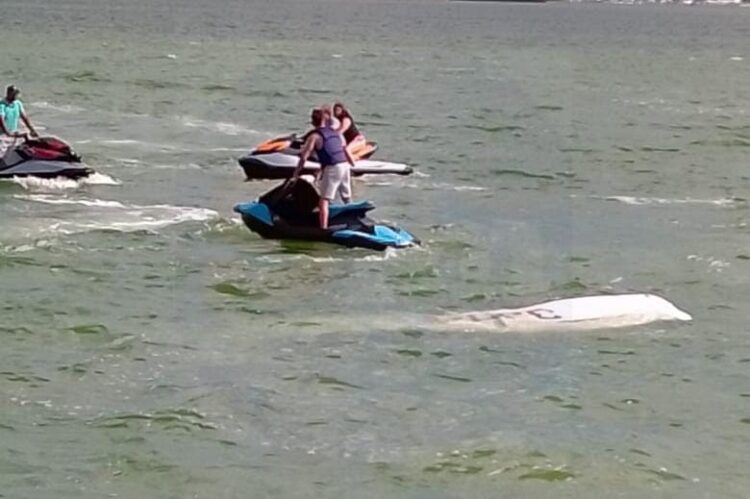 Avioneta cae en laguna de Nichupte de Cancún