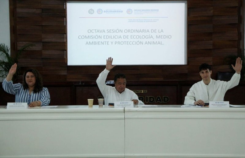 Buscan proteger árboles en Solidaridad
