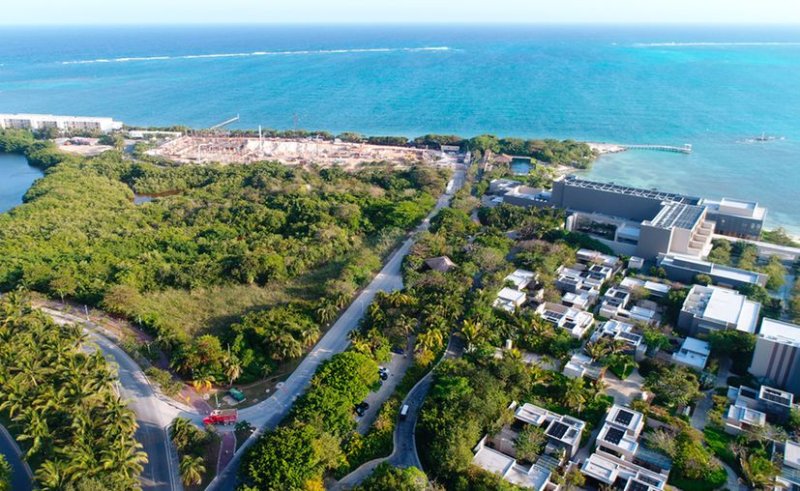 Cadena denuncia a activista ambiental por impedir construcción de hotel en Cancún