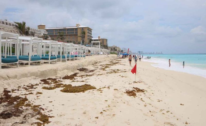 Cancún: Buscan prevenir riesgos ambientales en desarrollos turísticos
