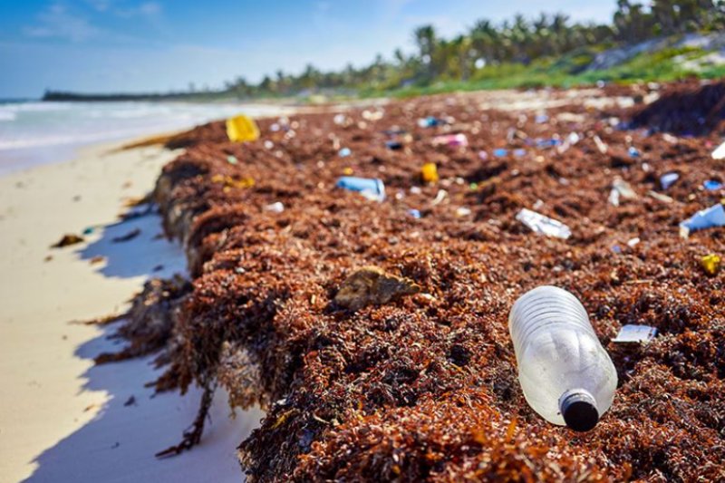 Cancún reporta fuerte contaminación en el agua