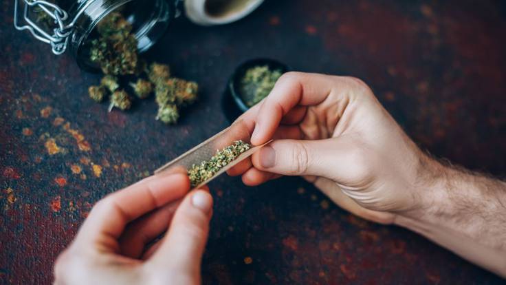 Cancunenses ganan litigios para uso lúdico de marihuana 