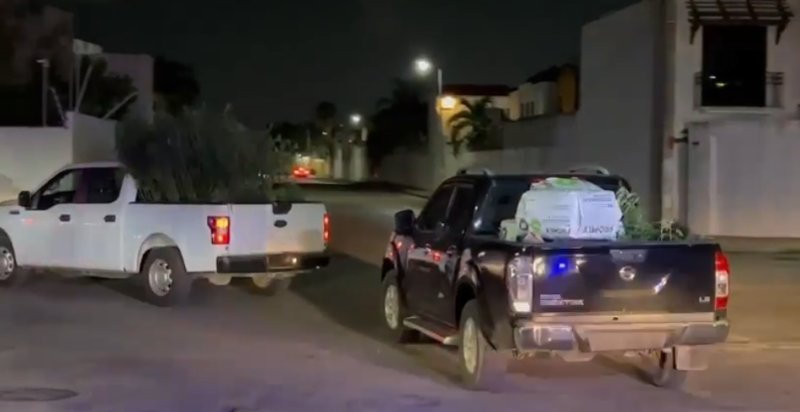 Catean vivienda de la supermanzana 50 en Cancún y encuentran Narco Vivero