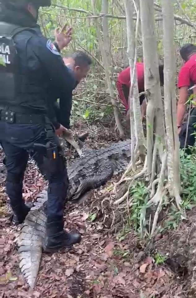 COADYUVAN OFICIALES EN RESCATE DE CIUDADANO EN LA LAGUNA NICHUPTÉ