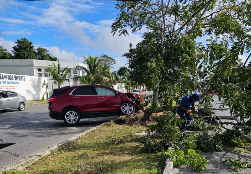 Conductor pierde el control y se estrella contra un árbol en la Avenida Nichupté