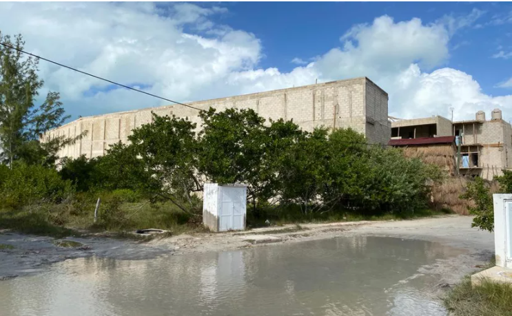 Construcción de hotel en Holbox arrasa con zona de manglar