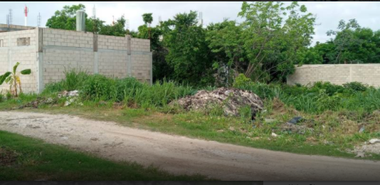 Denuncian tiradero clandestino de arena y sargazo en lote baldío de Cancún