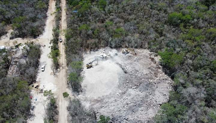 Desarrolladora Amares Riviera Maya, será sancionada por retiro de vegetación sin permiso.