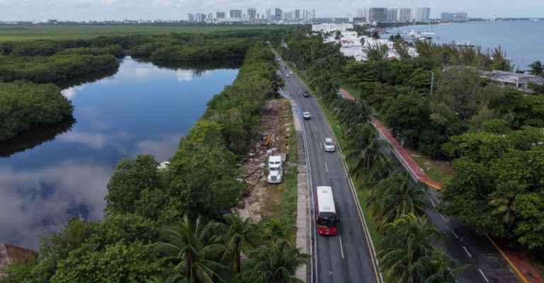 Devastan manglar en la Zona Hotelera de Cancún a pesar de ser ilegal