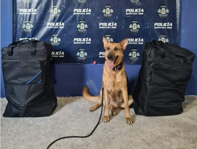Droga es Abandonada en Maletas en Terminal De Transportes De Cancún