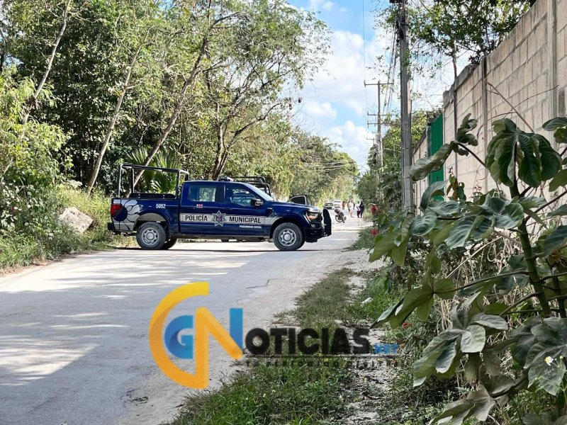 Ejecutan a hombre en Santa Cecilia mientras compraba pollo; un sujeto se roba el alimento