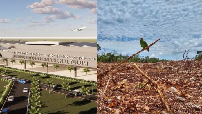 El areopuerto de Tulum devastaría gravemente el ecocistema de Quintana Roo
