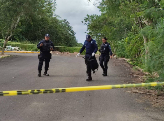 Encuentran armas largas tiradas en las inmediaciones del Arco Norte de Cancún