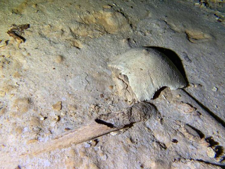 Encuentran esqueleto prehistórico de 8 mil años en un cenote cercano a la ruta del Tren Maya