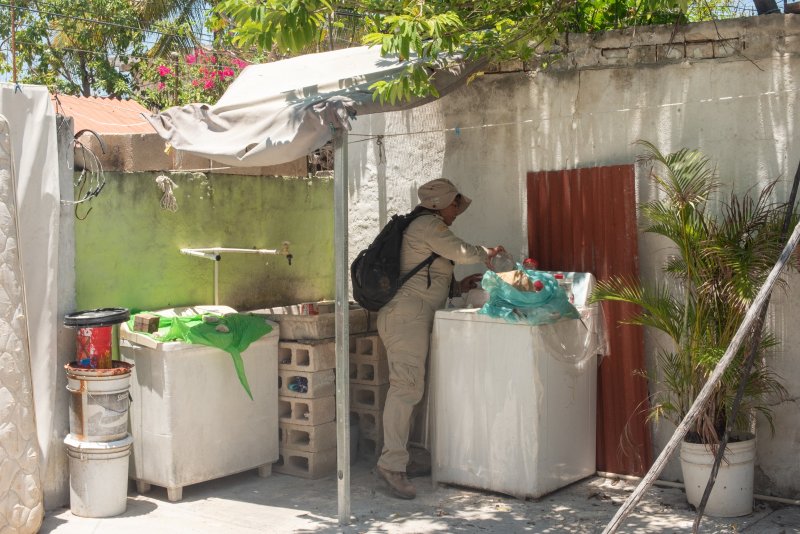 Es limpieza de la vivienda la medida más efectiva contra el dengue