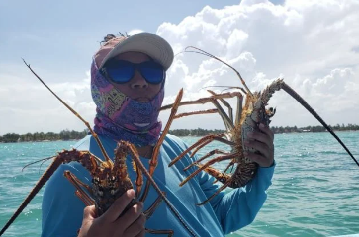 <a href="https://www.lajornadamaya.mx/quintana-roo/198474/esperanzados-langosteros-de-punta-allen-inician-una-nueva-temporada#">Esperanzados, langosteros de Punta Allen inician una nueva temporada</a>