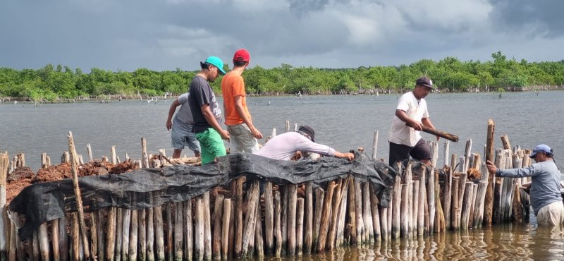 Estudiantes de la Universidad de Chapingo concluyen sus estancias profesionales