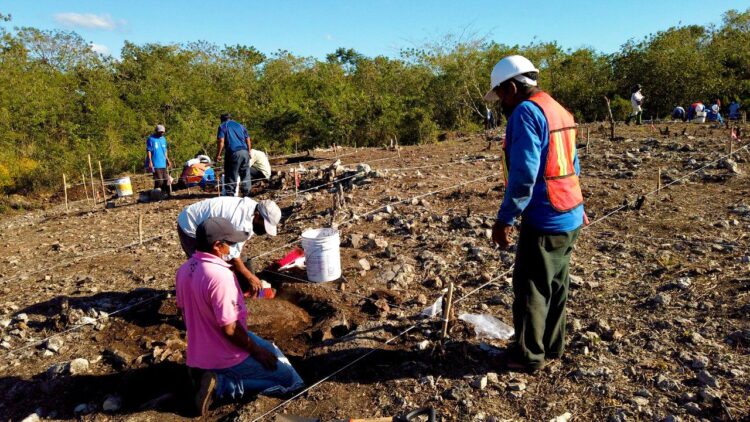 Fonatur resguarda más de 3,500 vestigios arqueológicos en ruta del Tren Maya