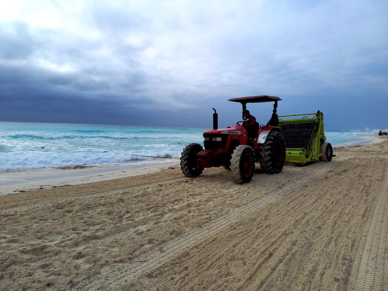 Gobierno de Mara Lezama en Conjunto con Zofemat realizan limpieza oportuna de sargazo en playas de Cancún
