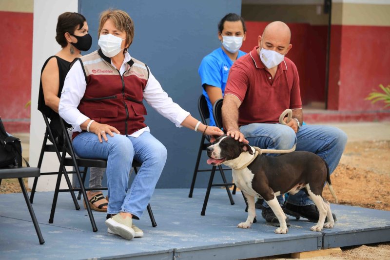 Gobierno de Solidaridad se compromete con el bienestar animal