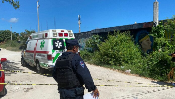 Hallan cadáver en área verde de Cancún.