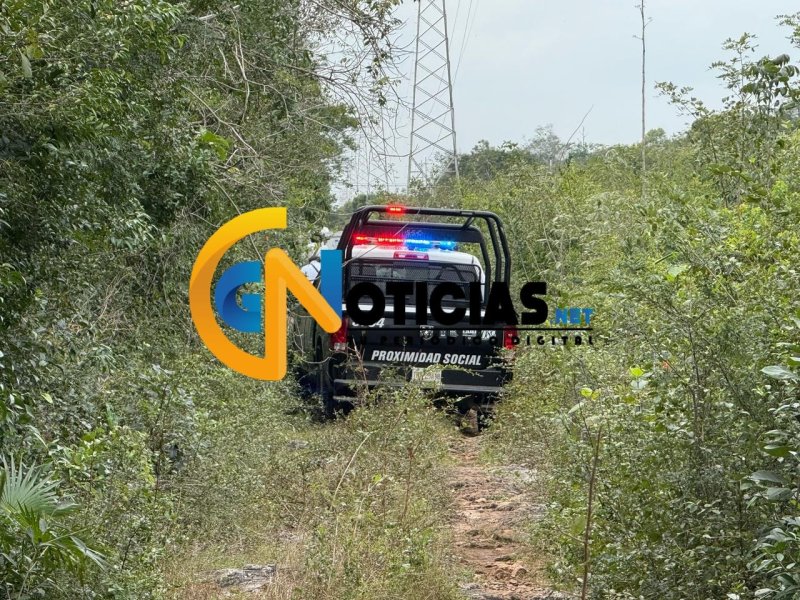 Hallan dos cuerpos calcinados en área verde de Alfredo V. Bonfil