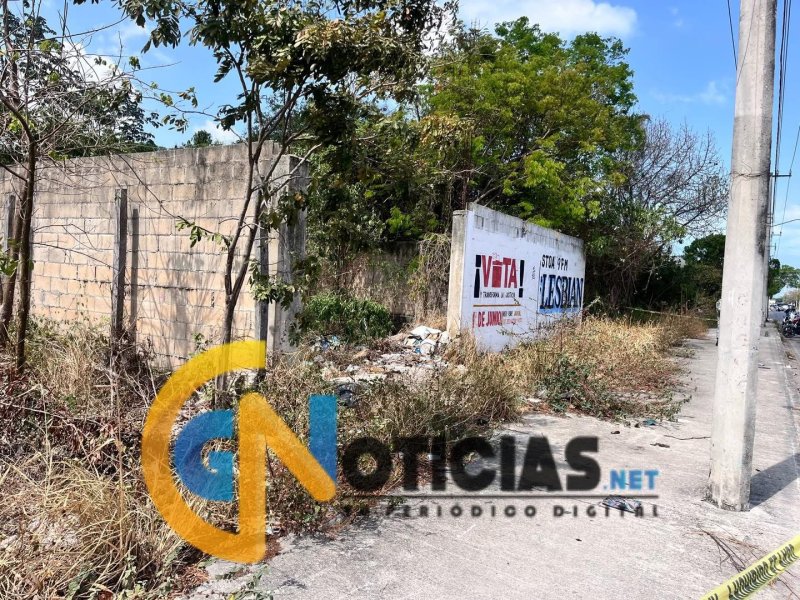 Hallan osamenta en la Supermanzana 226 de Cancún