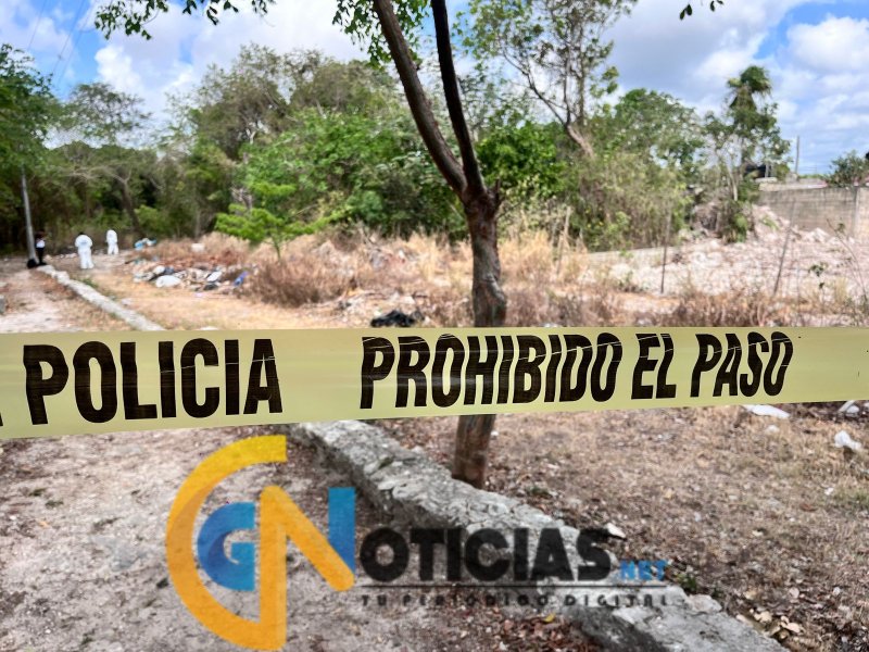 Hallan osamenta humana en parque de la Supermanzana 226, en Cancún