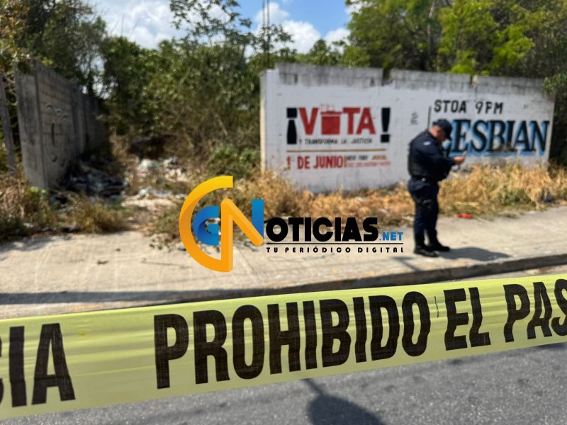 Hallan restos humanos en dos puntos de la Región 227 de Cancún; un perro llevaba un cráneo en el hocico