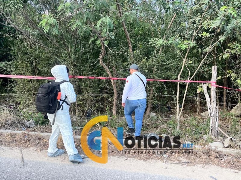 Hallan restos humanos en la Región 243 de Cancún
