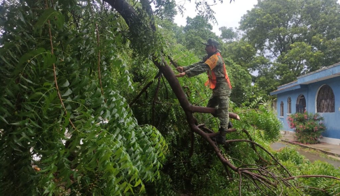 Instituciones y dependencias de protección civil y seguridad atienden encharcamientos en Chetumal