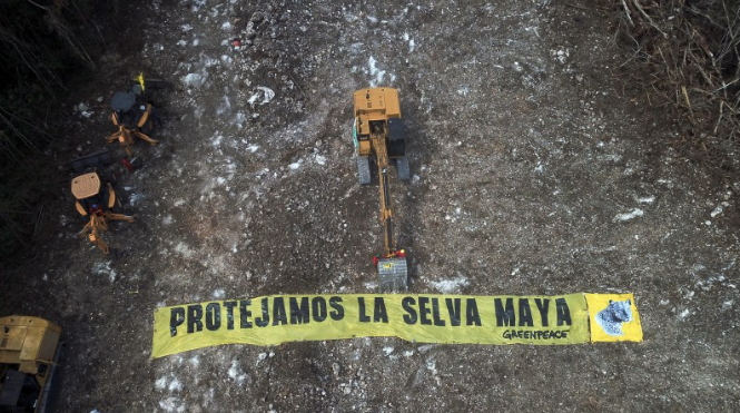 Interpone Greenpeace amparo contra Tramo 5 del Tren Maya