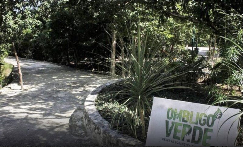 Invertirán 200 mdp en teatro, espacios deportivos, mercado y ciclovía en Cancún