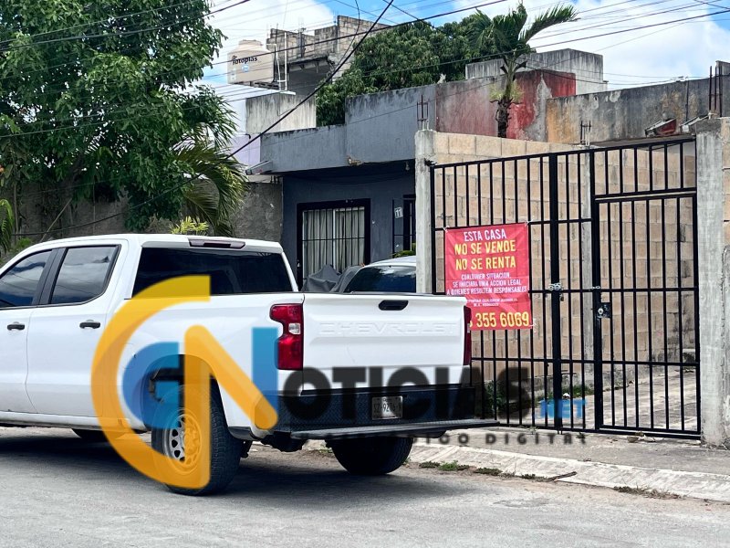 Investiga Fiscalía Especializada caso de maltrato animal en la Supermanzana 223 de Cancún