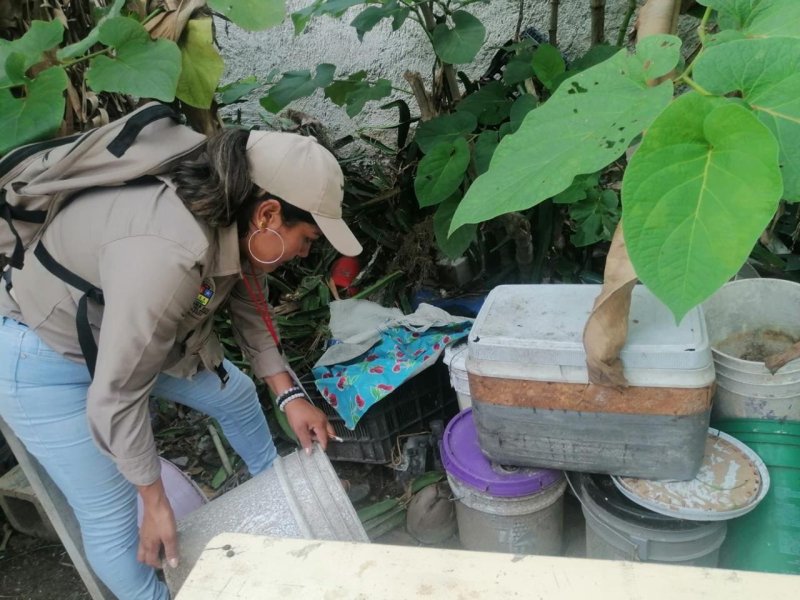 Invita SESA aplicar estrategia de patio limpio en las viviendas
