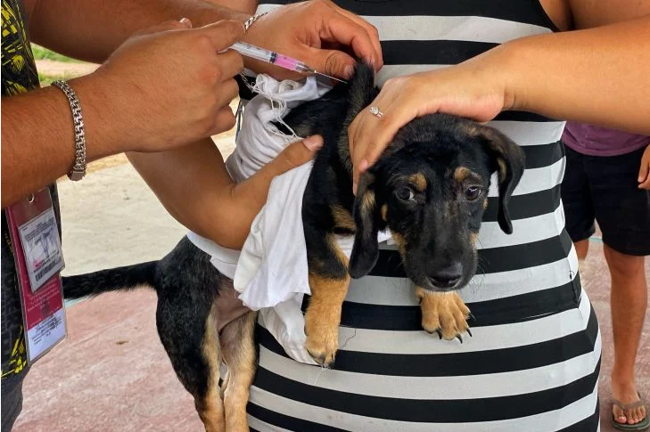 <a href="https://www.lajornadamaya.mx/quintana-roo/195982/invitan-a-vacunar-a-perros-y-gatos-gratuitamente-en-solidaridad#">Invitan a vacunar a perros y gatos gratuitamente en Solidaridad</a>