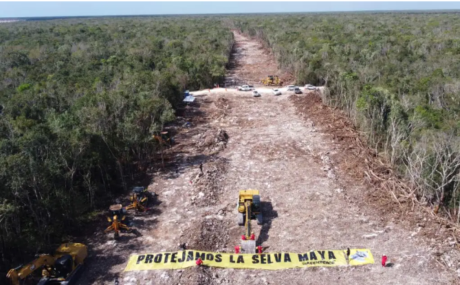 Juez primero de distrito en Yucatán requiere que gobierno federal aclare el reinicio de las obras en Tramo 5 del tren maya