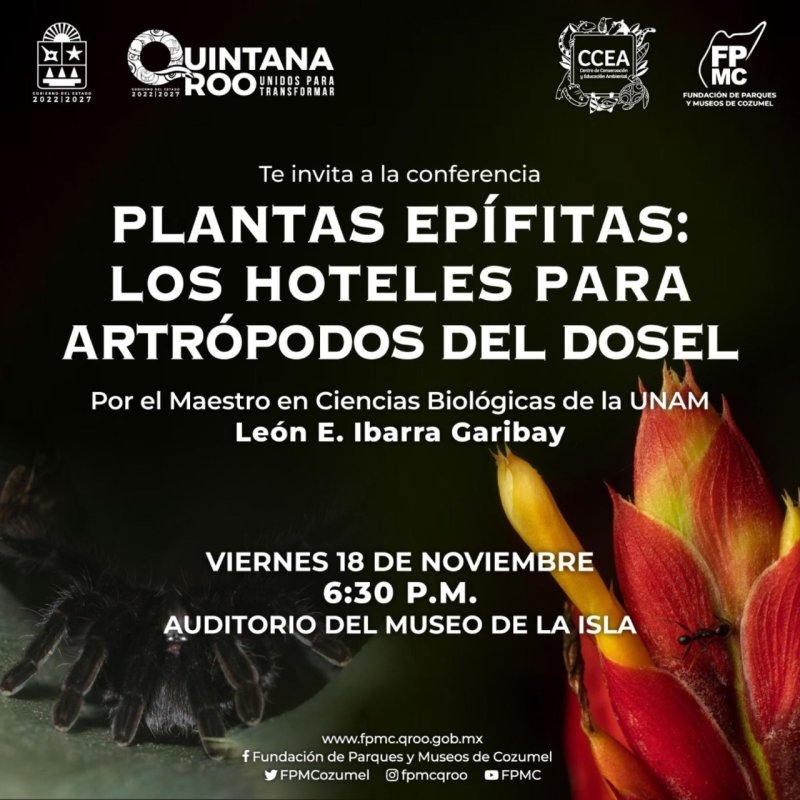 La FPMC invita a la conferencia “Plantas Epífitas: los Hoteles para Artrópodos del Dosel”