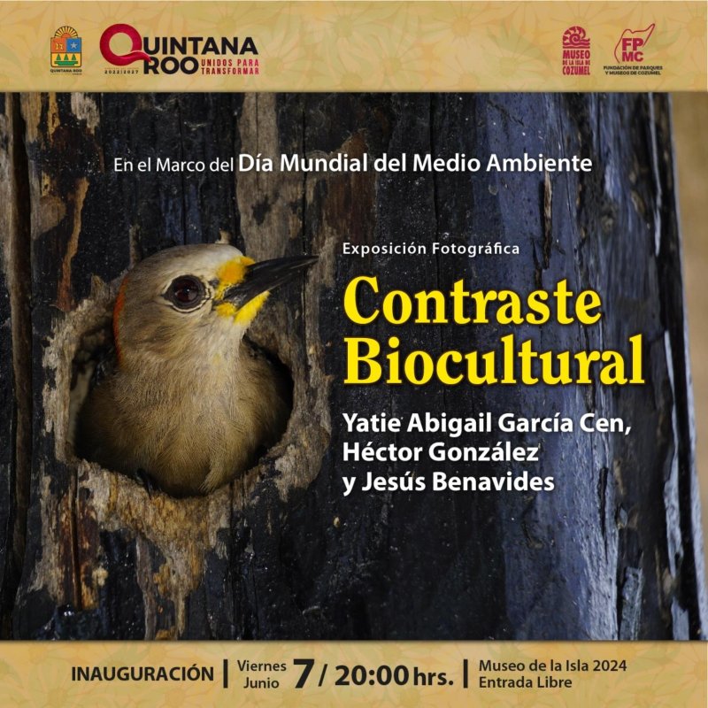 La Fundación de Parques y Museos de Cozumel celebrará el Día Mundial del Medio Ambiente, con la inauguración de la exposición colectiva “Contraste Biocultural”