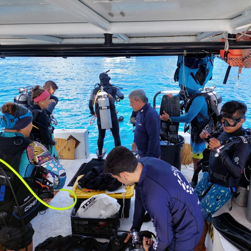 La Fundación de Parques y Museos de Cozumel colabora para la atención a impactos al arrecife por tormentas o huracanes