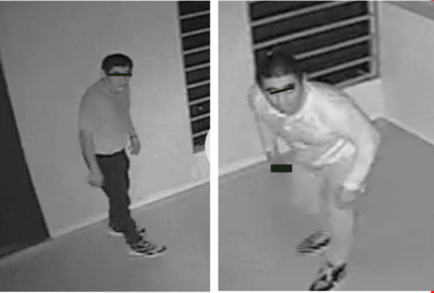 Ladrones son boletinados en Playa del Carmen