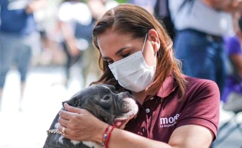 MARA SE COMPROMETE A CREAR ESPACIOS PARA EL BIENESTAR ANIMAL