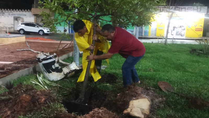 Mas plantas de la región y decorativas para el parque a pocos dias de su inauguración.