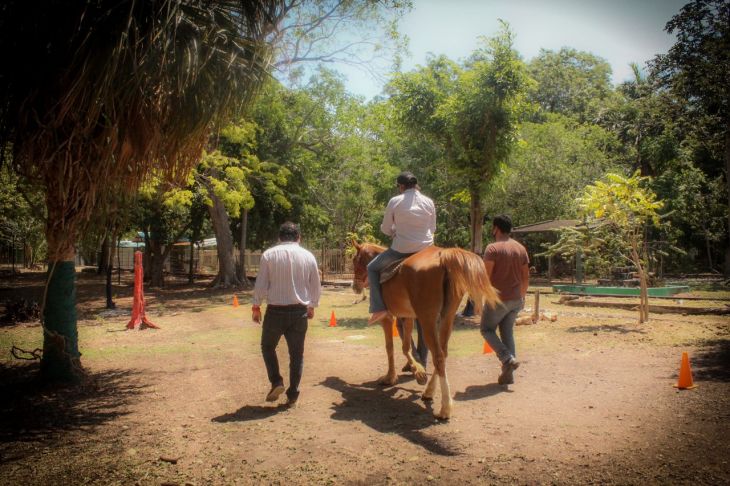 <a href="https://www.lajornadamaya.mx/quintana-roo/196215/ofrecen-equinoterapia-en-el-zoologico-de-chetumal#">Ofrecen equinoterapia en el zoológico de Chetumal</a>