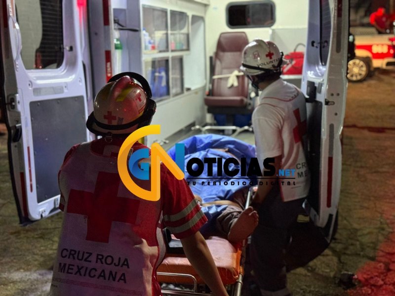 Perro rescatado ataca a habitantes en fraccionamiento corales